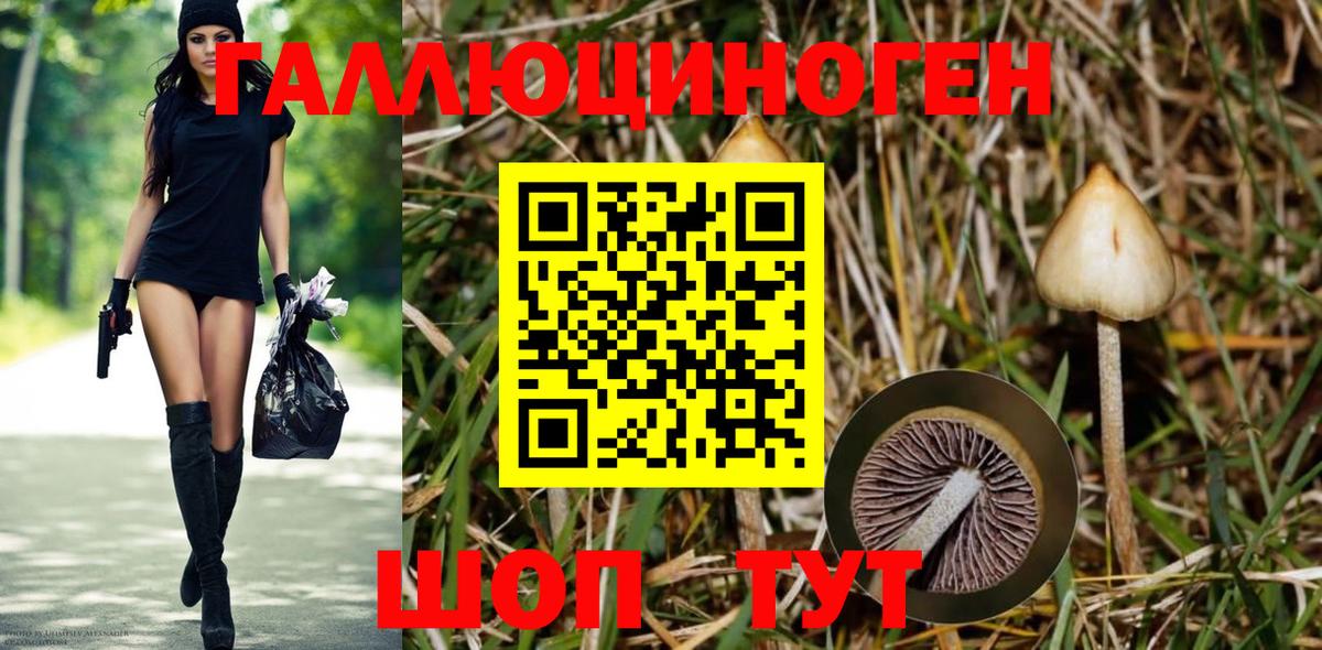 Советский  Псилоцибиновые грибы мухоморы  Вход с VPN  Псилоцибиновые грибы MAGIC MUSHROOMS 